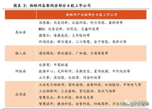 物聯(lián)網(wǎng)行業(yè)專題報(bào)告 聚焦通信模組與行業(yè)應(yīng)用服務(wù)，把握萬(wàn)物互聯(lián)新機(jī)遇