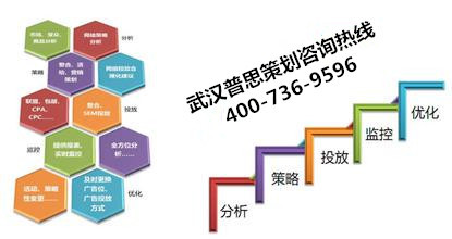 專業(yè)項目可行性研究與商業(yè)計劃書代寫服務解析